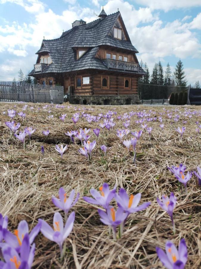 Willa Giewontka Witów Dış mekan fotoğraf