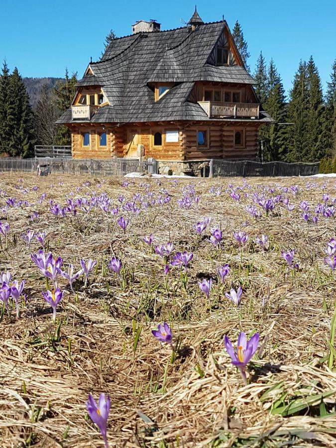 Willa Giewontka Witów Dış mekan fotoğraf